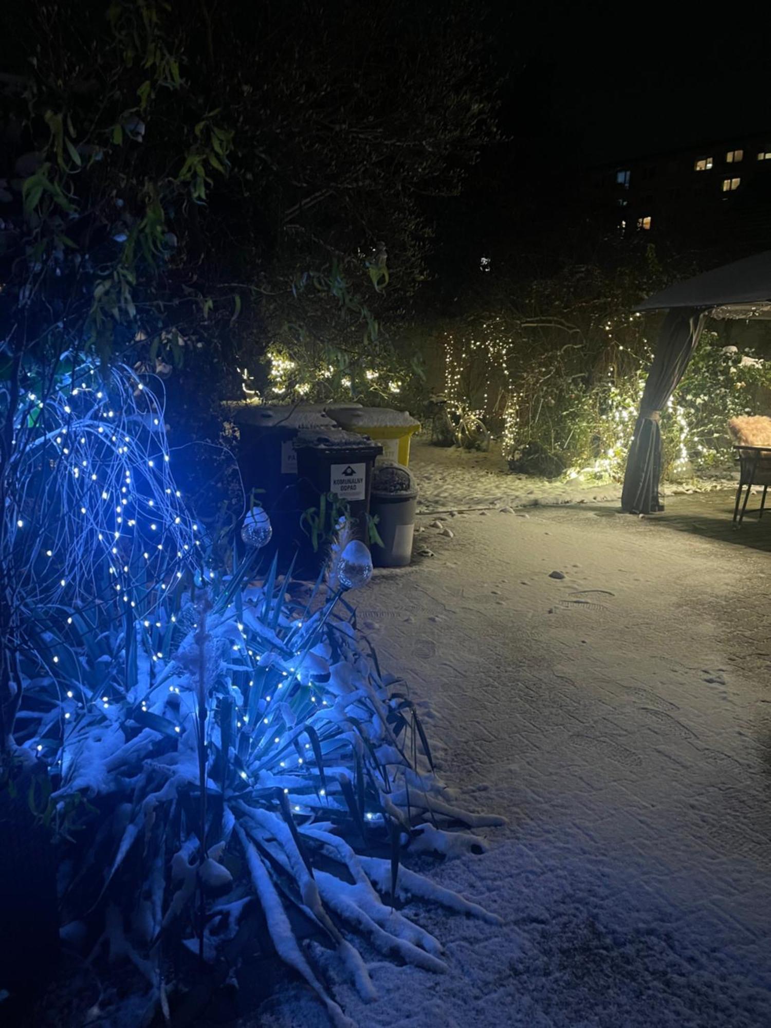 Alia House With Garden In Piestanyヴィラ エクステリア 写真